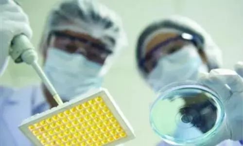 北京經開區 從仿制到創新，生物醫藥產業的技術開發如何擦亮“創新底色”